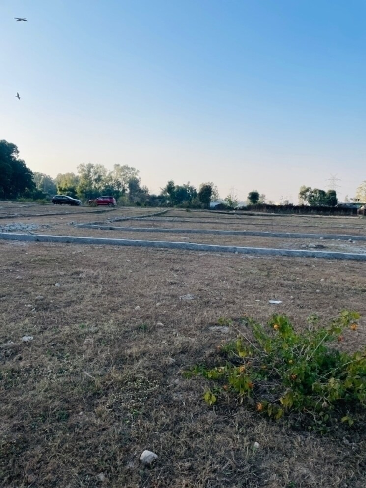undefined, badowala  324 Sq.Yd. Plot In Badowala Dehradun 8020319