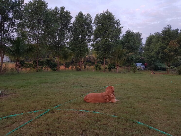 Exterior View, kundal Commercial Industrial Plot 8500 Sq.Ft. In Kundal Ahmedabad 8020330