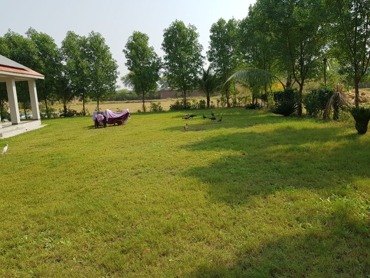 Exterior View, kundal Commercial Industrial Plot 8500 Sq.Ft. In Kundal Ahmedabad 8020330