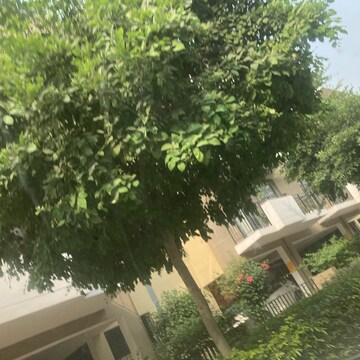 2.5 BHK Builder Floor – Garden View at Vatika Xpressions, Sector 88b - for Rent