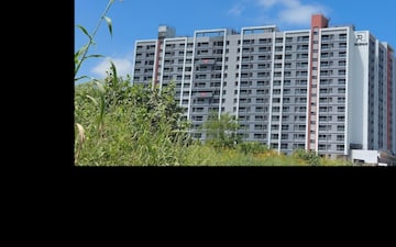 1 BHK Apartment For Rent in Roshan Milestone, Tathawade