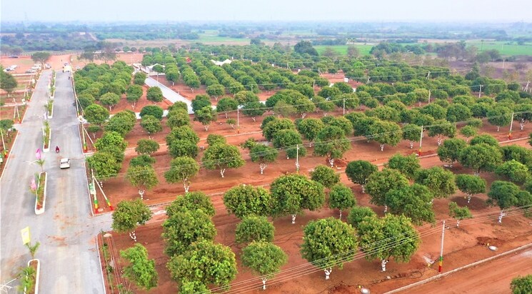 Garden, bogaram  150 Sq.Yd. Plot In Bogaram Hyderabad 8020933