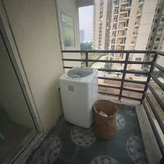 1 BHK Apartment For Rent in Pivotal Paradise Sector 62 Gurgaon  8021033