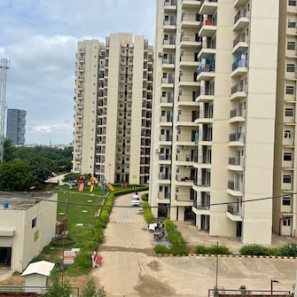 1 BHK Apartment For Rent in Pivotal Paradise Sector 62 Gurgaon  8021033