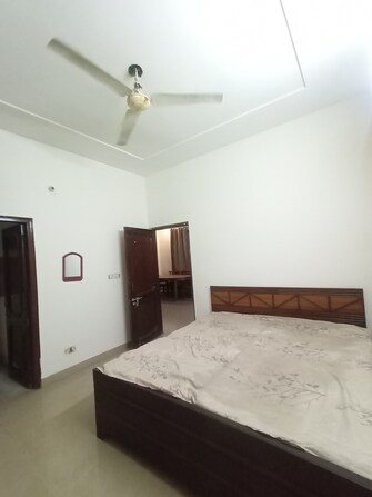 2 BHK Independent House For Rent in Sector 10 Panchkula  8021145