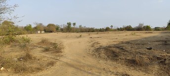 Commercial Land 8000 Sq.Ft. For Resale in Talasari Palghar  8021171