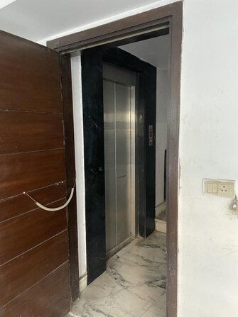 3 BHK Builder Floor For Resale in Shalimar Bagh Delhi  8021225