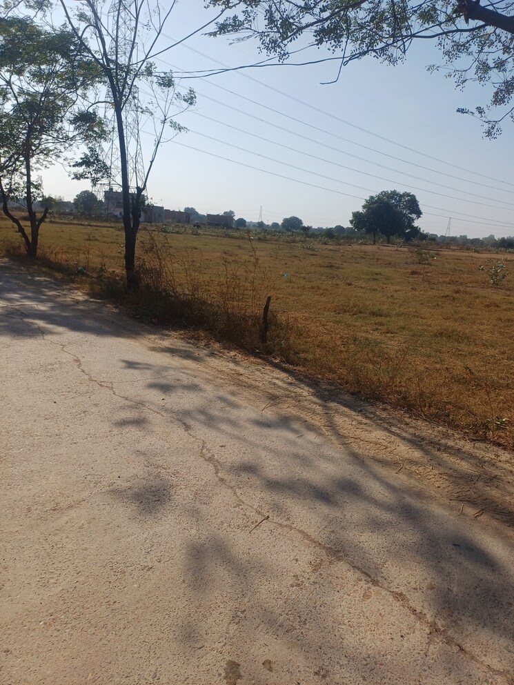 Exterior View, jajru  53 Sq.Yd. Plot In Jajru Faridabad 8021268