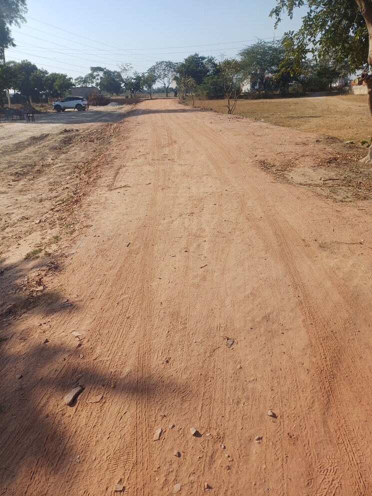 undefined, jajru  53 Sq.Yd. Plot In Jajru Faridabad 8021268