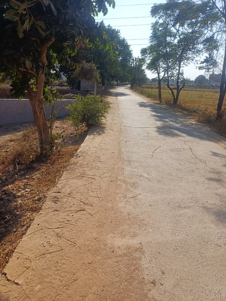 Exterior View, jajru  54 Sq.Yd. Plot In Jajru Faridabad 8021282