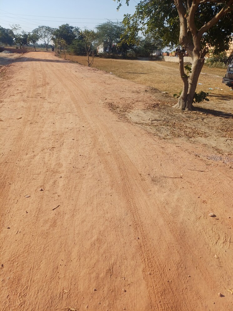 undefined, jajru  55 Sq.Yd. Plot In Jajru Faridabad 8021311