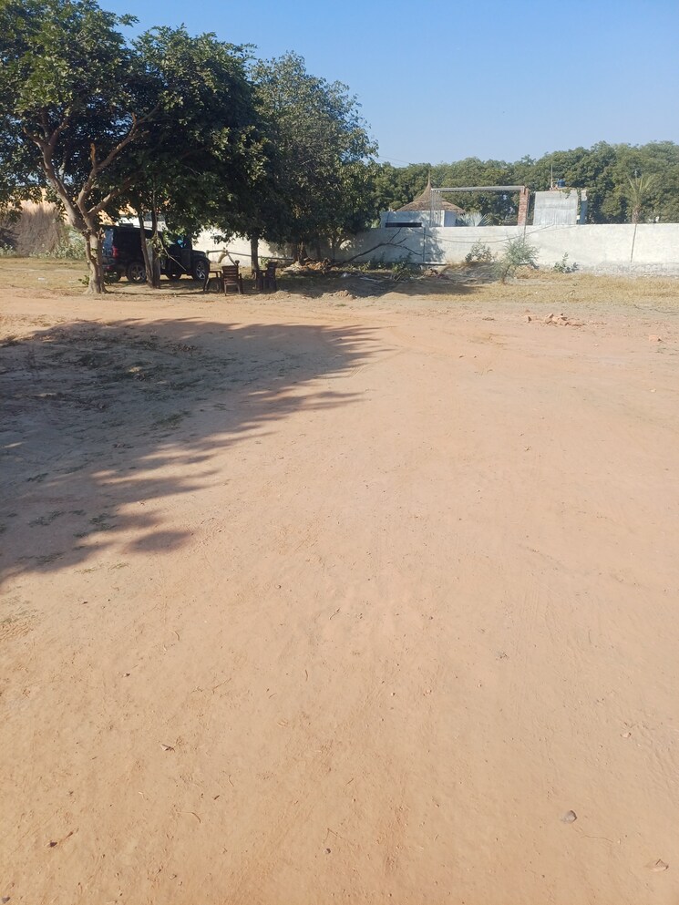 undefined, jajru  55 Sq.Yd. Plot In Jajru Faridabad 8021311