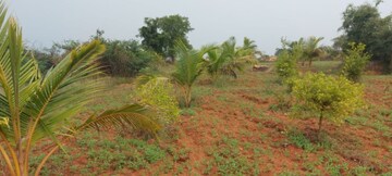  Plot – Exterior View View at Bagaluru  - for Sale