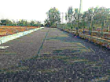  Plot For Sale in Mysore Road