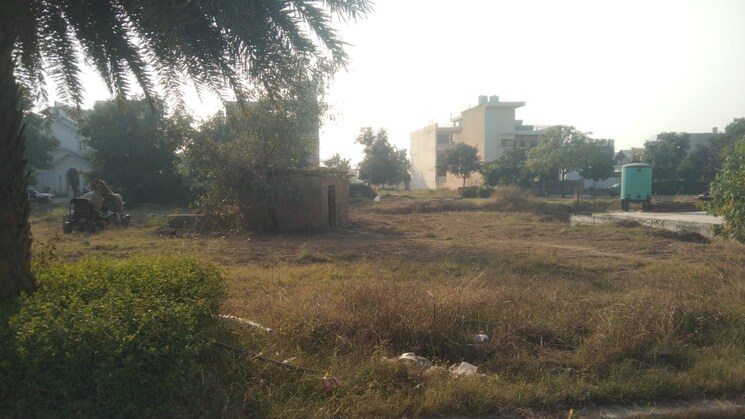 undefined, omaxe-new-chandigarh  118 Sq.Yd. Plot In North Mullanpur Chandigarh 8021600