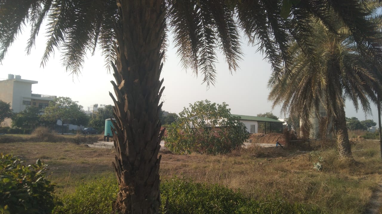 Plot For Sale in Omaxe New Chandigarh