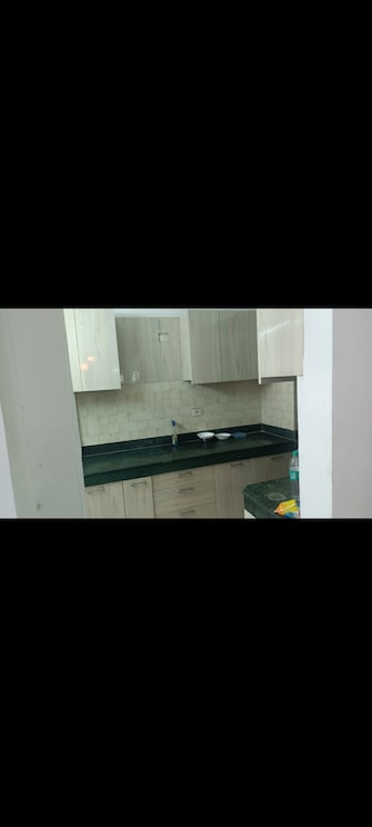 2 BHK Apartment For Rent in TDI City Kingsbury Kundli Sonipat  8021711