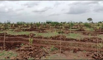 Plot Area in  Plot at Narayankhed – for Sale