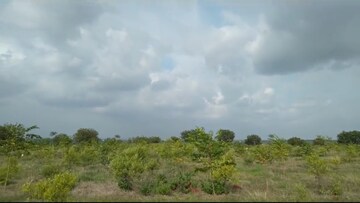 Plot Area in  Plot at Narayankhed – for Sale