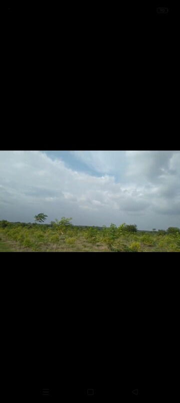 Plot Area in  Plot at Narayankhed – for Sale