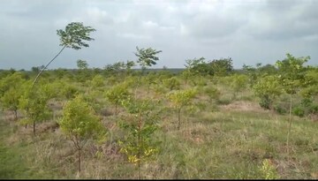 Plot Area in  Plot at Narayankhed – for Sale