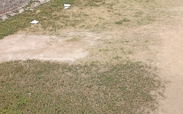Plot For Sale in Sector 8