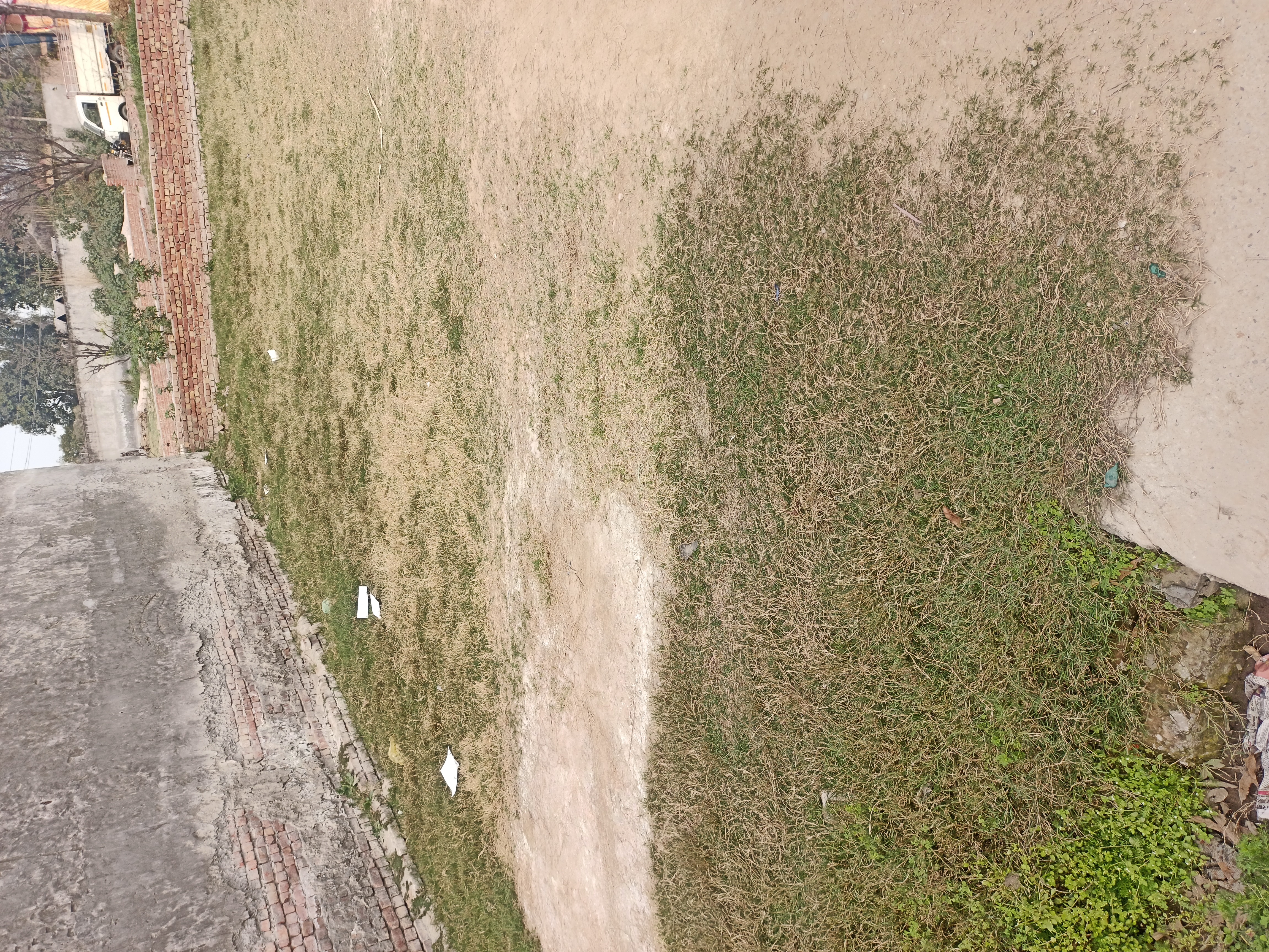 Plot For Sale in Sector 8