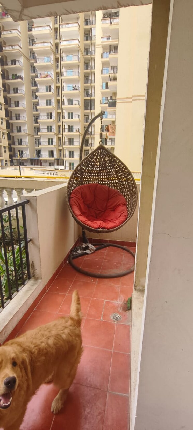 Balcony, nilaya-greens 2 Bedroom 852 Sq.Ft. Apartment In Raj Nagar Extension Ghaziabad 8022142