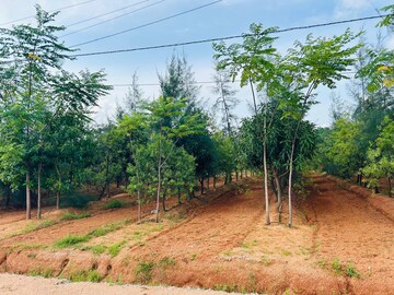 Plot Area in  Plot at Kacharam – for Sale