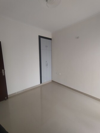 3 BHK Apartment For Rent in Amrapali Terrace Homes Noida Ext Tech Zone 4 Greater Noida  8022415