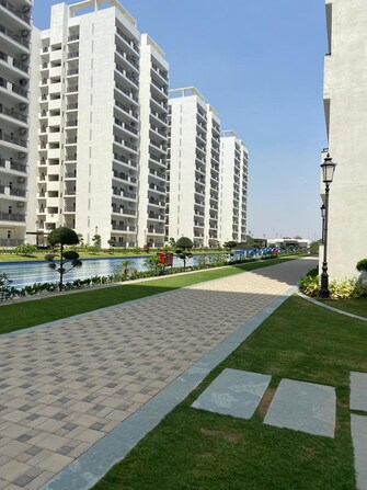 3 BHK Apartment For Rent in Central Park Flower Valley Aqua Front Towers Sohna Sector 33 Gurgaon  8022386