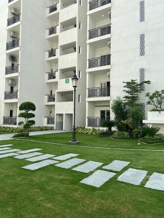 3 BHK Apartment For Rent in Central Park Flower Valley Aqua Front Towers Sohna Sector 33 Gurgaon  8022386