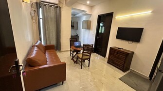 2 BHK Builder Floor For Rent in DLF City Phase V Dlf Phase V Gurgaon  8022412