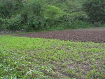  Plot – Exterior View View at Perungalathur - for Sale