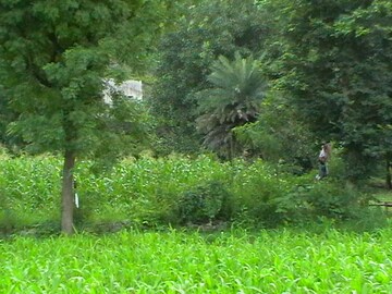  Plot – Exterior View View at Perungalathur - for Sale