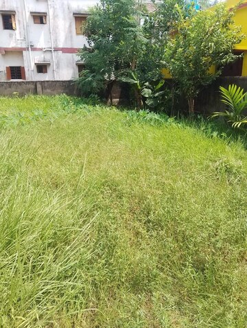 Plot For Resale in Kankarbagh Patna  8022668