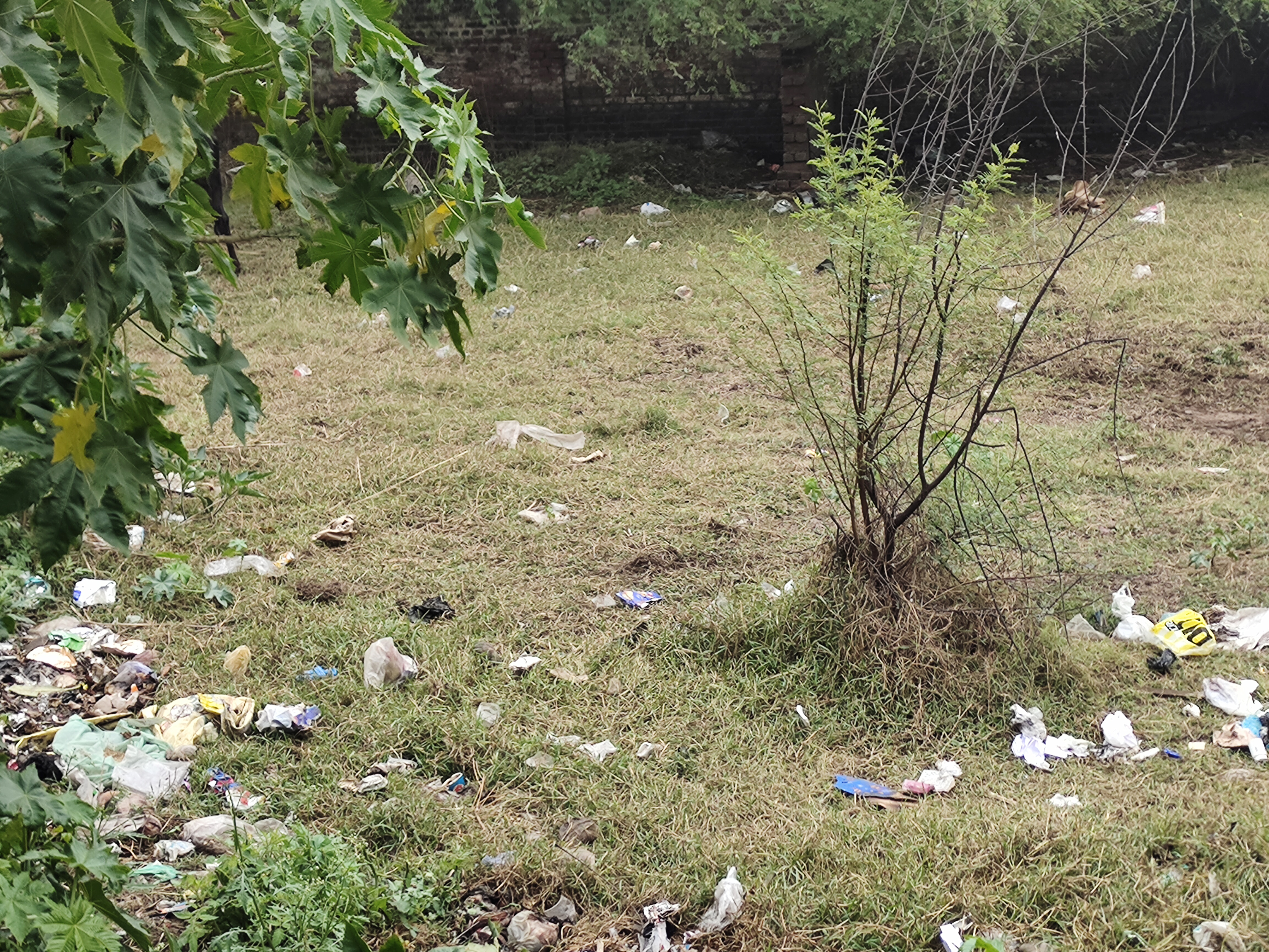 Plot For Sale in Sector 123