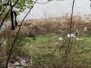 Plot Area in  Plot at Sector 123 – for Sale