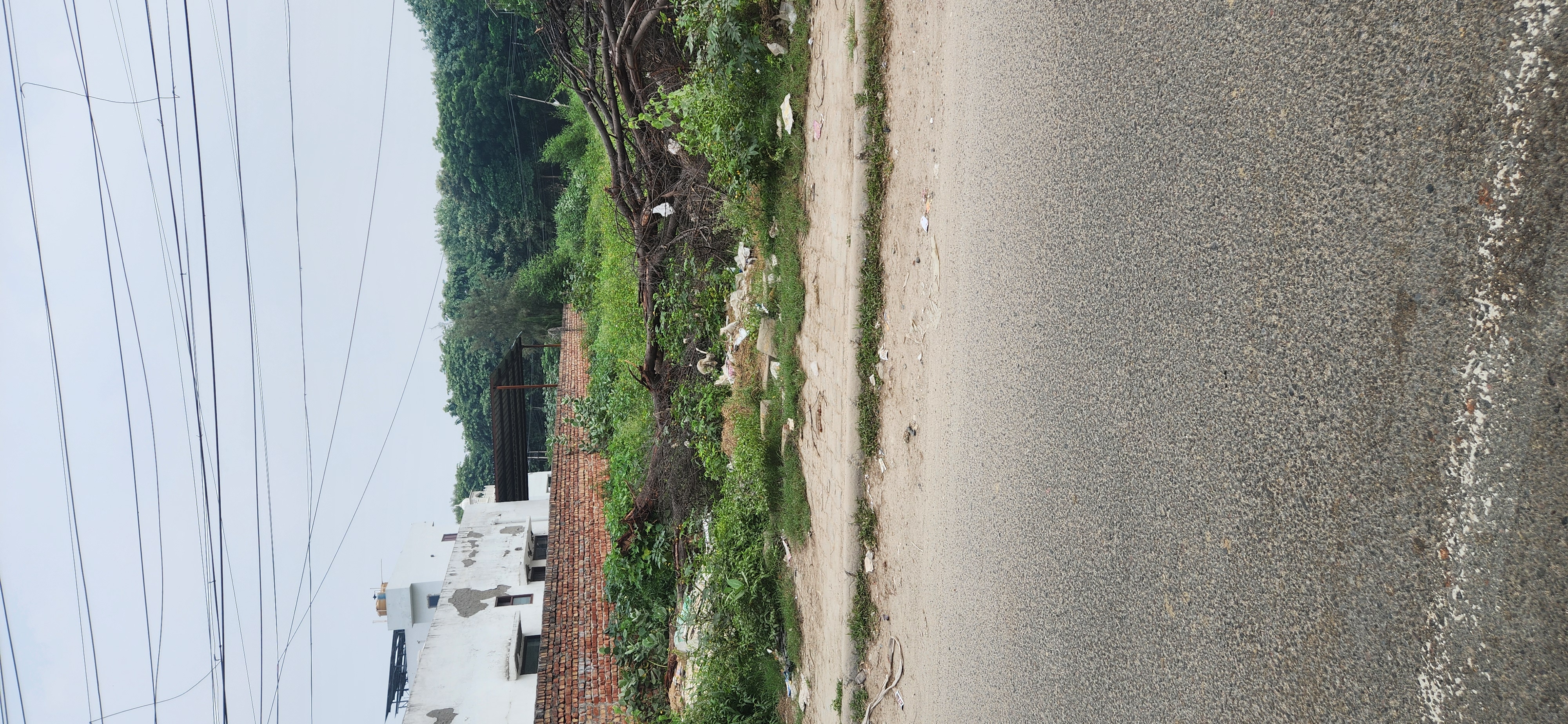 Plot For Sale in Spiti Greenwood Estate