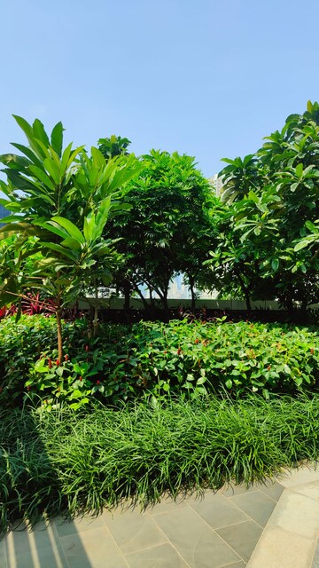 4 BHK Apartment – Garden View at Kalpataru Avana, Parel - for Sale