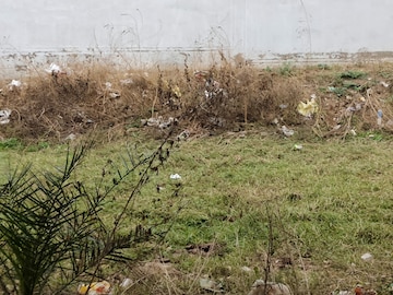 Plot Area in  Plot at Sector 127 – for Sale