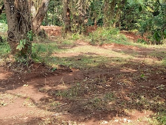 Plot For Resale in Chorao North Goa  8023004