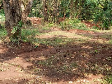 Plot For Resale in Chorao North Goa  8023004