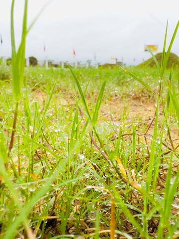  Plot – Exterior View View at Uttam Shyamashish Park, Ajmer Road - for Sale