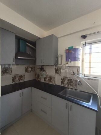 3 BHK Builder Floor For Rent in Hsr Layout Bangalore  8023268