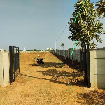  Plot For Sale in Patiala Road