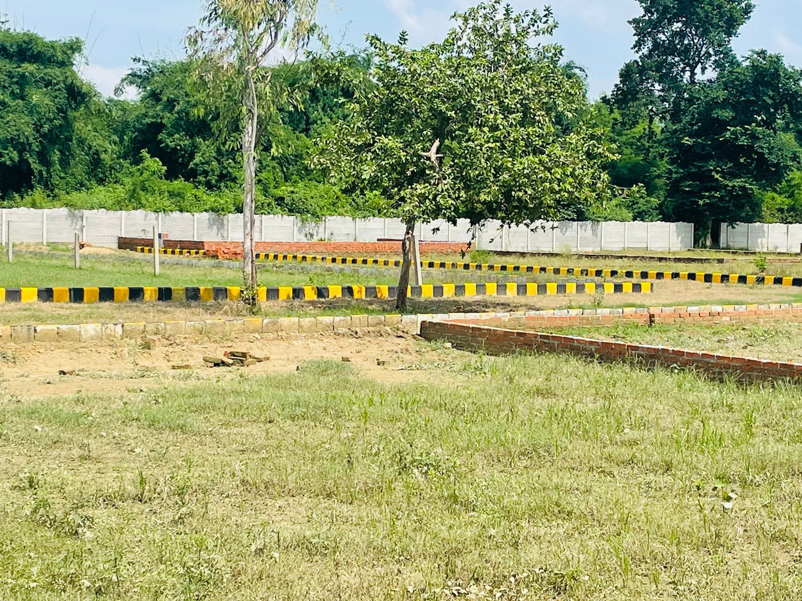 Plot For Sale in Gosainganj