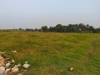 Plot For Resale in Bhatpara Kolkata  8023681