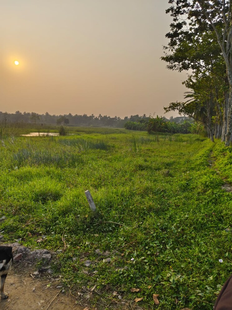 undefined, bhatpara  2160 Sq.Ft. Plot In Bhatpara Kolkata 8023681