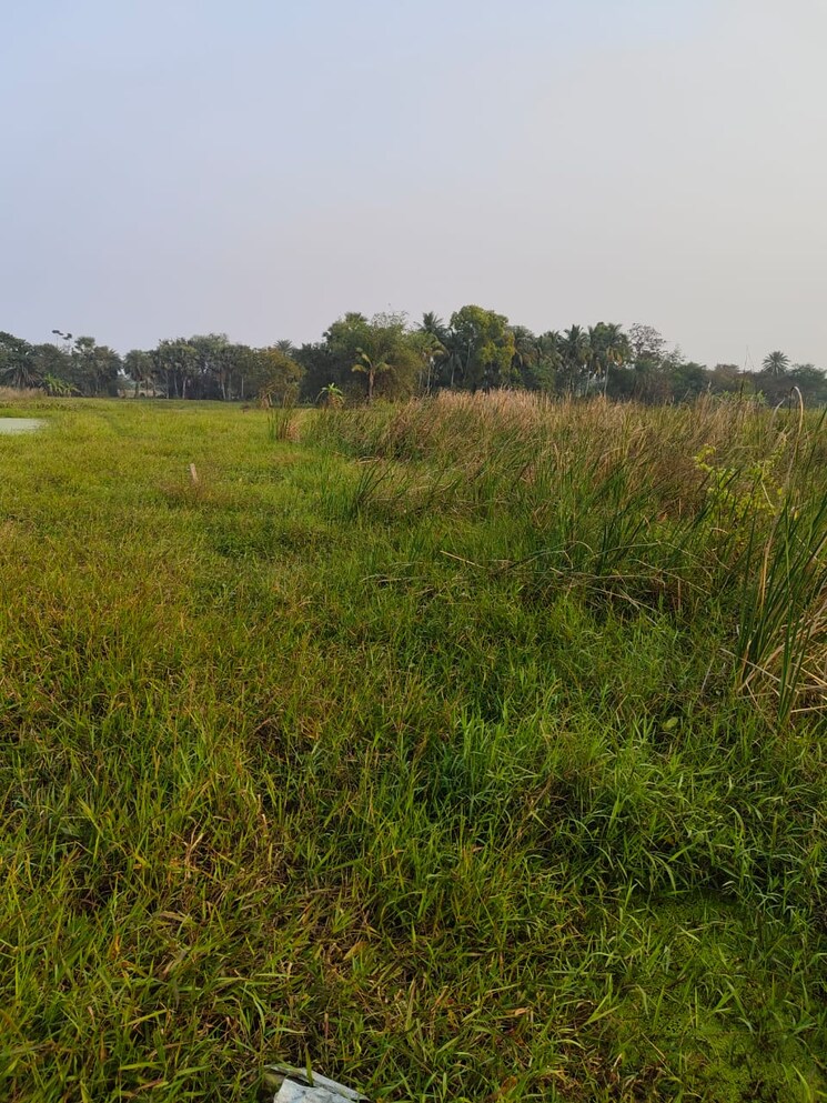 undefined, bhatpara  2160 Sq.Ft. Plot In Bhatpara Kolkata 8023681